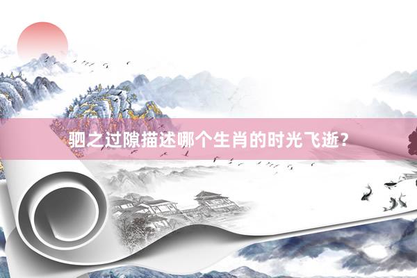 驷之过隙描述哪个生肖的时光飞逝？