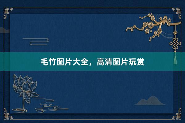 毛竹图片大全，高清图片玩赏